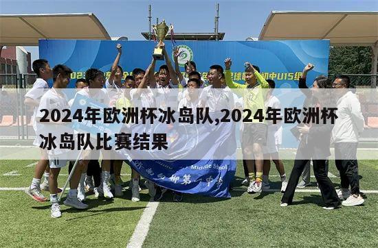 2024年欧洲杯冰岛队,2024年欧洲杯冰岛队比赛结果