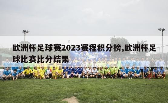 欧洲杯足球赛2023赛程积分榜,欧洲杯足球比赛比分结果