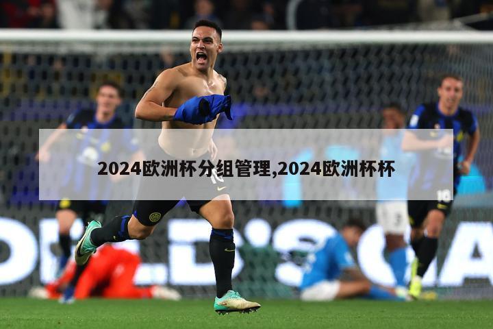 2024欧洲杯分组管理,2024欧洲杯杯