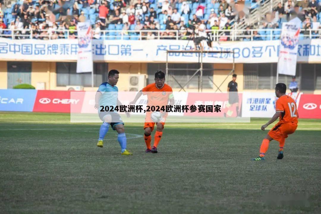 2024欧洲杯,2024欧洲杯参赛国家