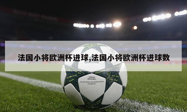 法国小将欧洲杯进球,法国小将欧洲杯进球数