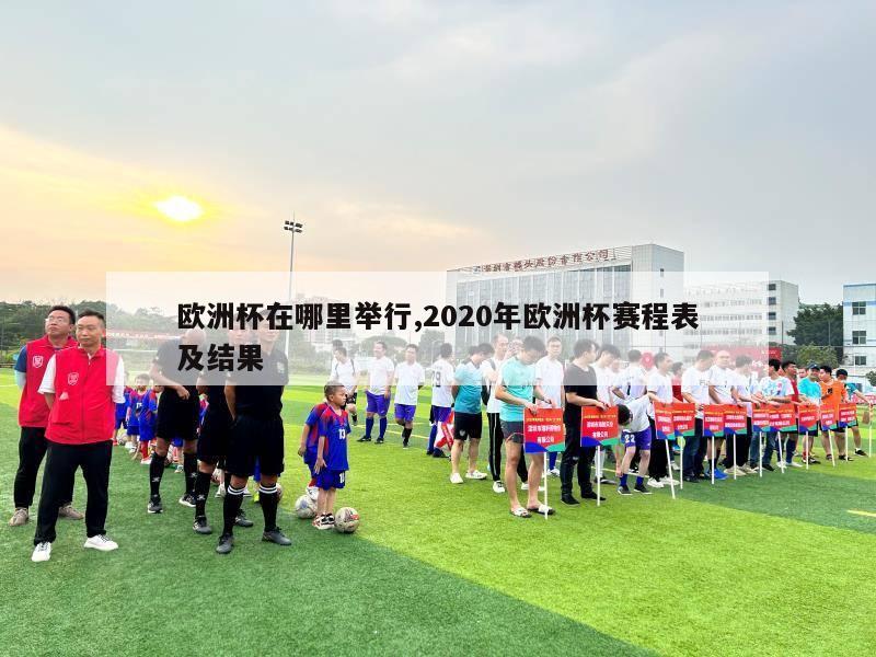 欧洲杯在哪里举行,2020年欧洲杯赛程表及结果