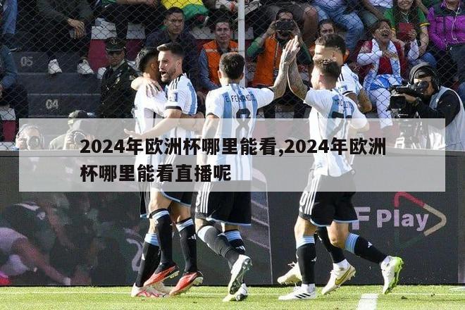 2024年欧洲杯哪里能看,2024年欧洲杯哪里能看直播呢