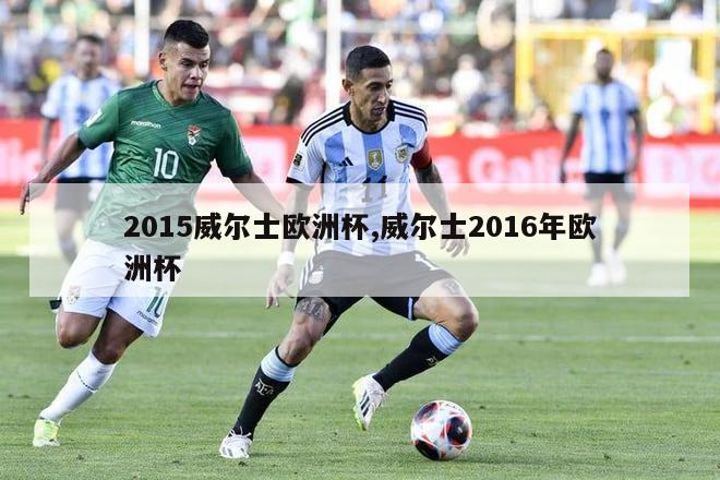 2015威尔士欧洲杯,威尔士2016年欧洲杯