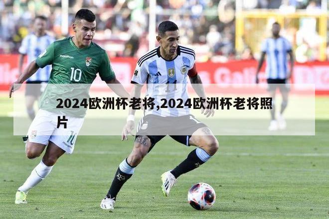 2024欧洲杯老将,2024欧洲杯老将照片