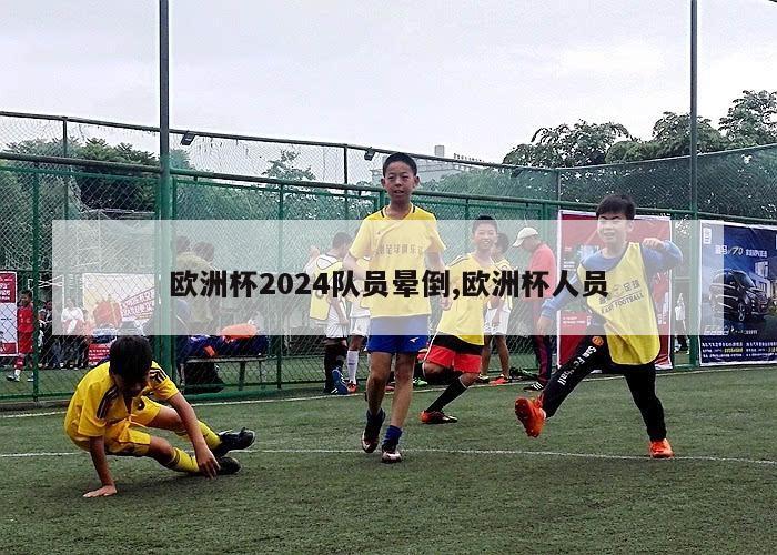 欧洲杯2024队员晕倒,欧洲杯人员