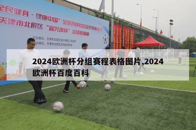 2024欧洲杯分组赛程表格图片,2024欧洲杯百度百科